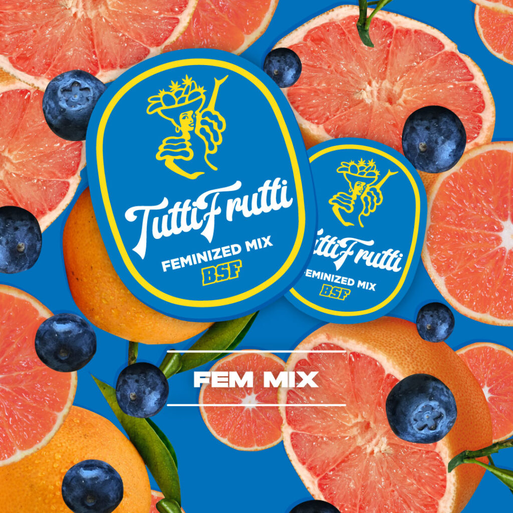 Tutti Fruty Fem Mix Banco De Semillas BSF Seeds BIGGER STRONGER FASTER tutti-fruty-fem-mix-banco-de-semillas-bsf-seeds-bigger-stronger-faster